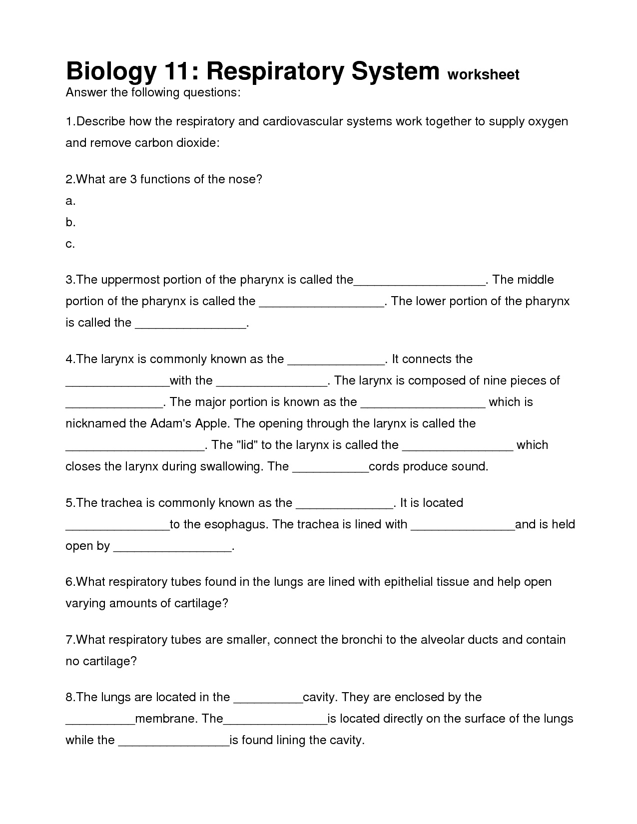 Week 11 Photosynthesis and Cellular Respiration Biome Project With Bill Nye Respiration Worksheet